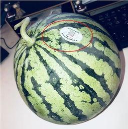 网红吃瓜八卦是真的吗,真相还是谣言？  第2张